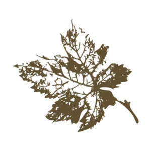Alcove Collection Logo